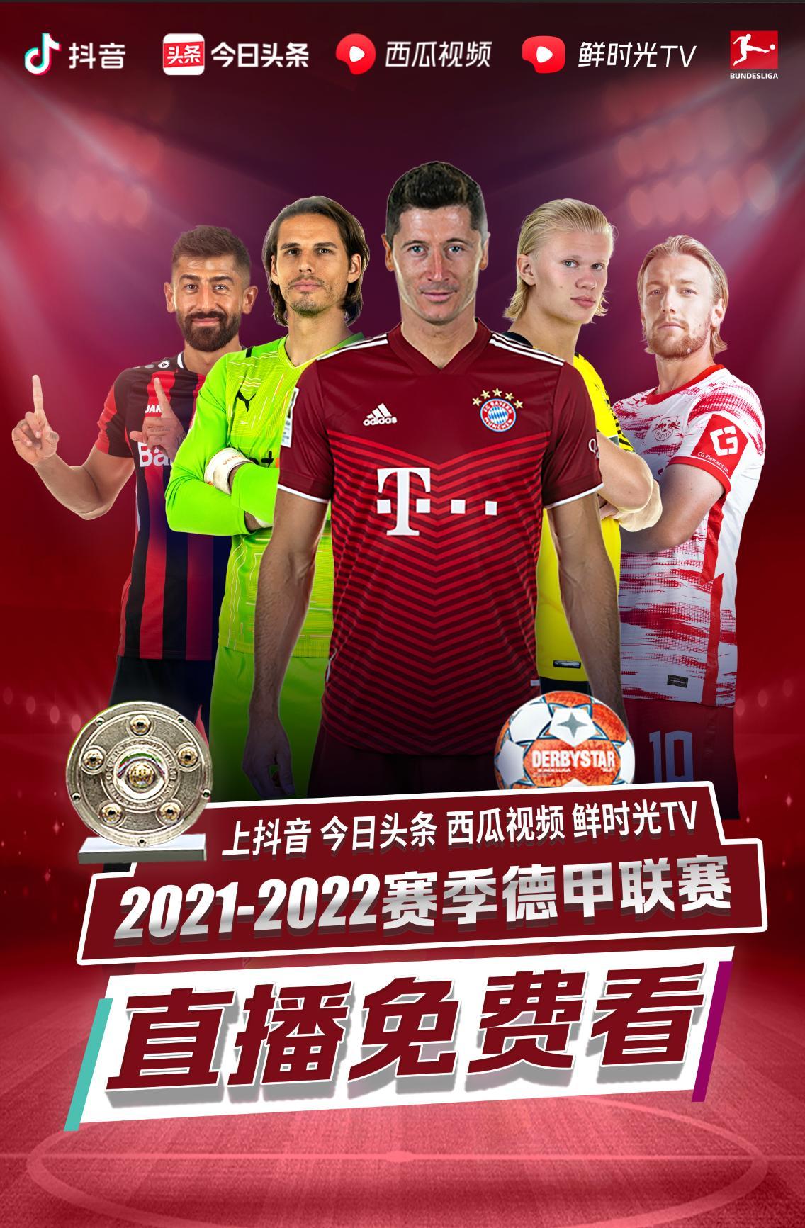 丁内利这样