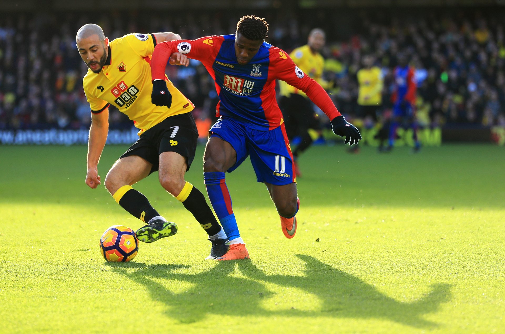 普通的胜利 普通的胜利